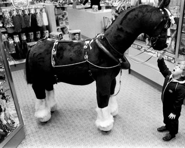 Gordon Semple (3) meets the 5.5 foot toy horse costing £700 on display at Jenners Department Store in October 1983.