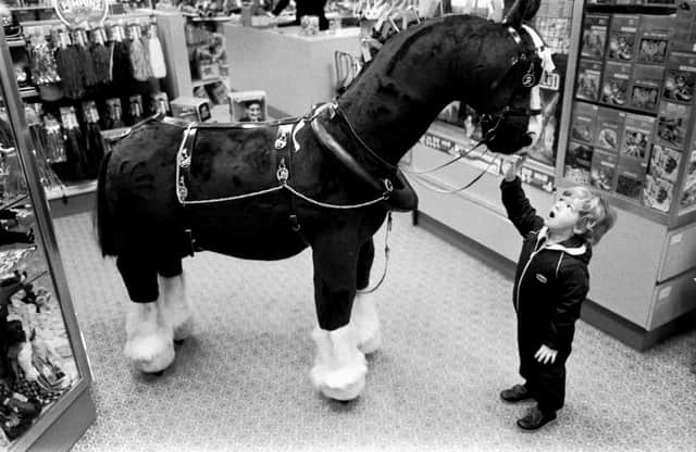 Gordon Semple (3) meets the 5.5 foot toy horse costing £700 on display at Jenners Department Store in October 1983.