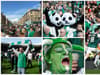 22 fabulous Hibs fan photos from the 2016 Scottish Cup Final and victory parade - see if you can spot yourself