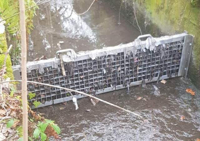 Pollution, in the form of items like wet wipes and sanitary products, in a Midlothian burn
