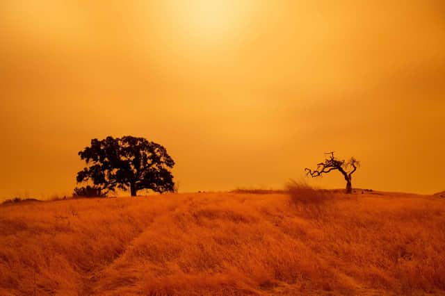 Climate change and longer, drier spells of weather for some are known to contribute to wildfires, such as those experienced in California last year.  An orange sky filled with wildfire smoke hangs above hiking trails at the Limeridge Open Space in Concord. PIC: Getty.