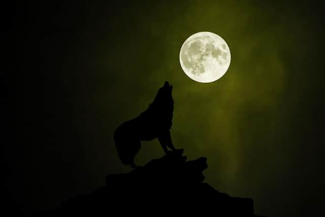 The wolf moon will be invisible in Edinburgh next week. Photo: Thinnapat /Getty Images / Canva Pro.