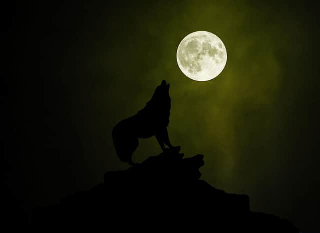The wolf moon will be invisible in Edinburgh next week. Photo: Thinnapat /Getty Images / Canva Pro.