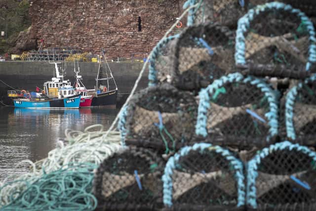 Fishing boats moored in Dunbar Harbour, East Lothian picture: PA