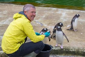 Willie Rennie meets some penguins at Edinburgh Zoo (Picture: Lisa Ferguson)