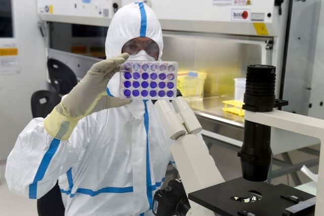 French engineer-virologist Thomas Mollet looks at 24 well plates adherent cells monolayer infected with a Sars-CoV-2 virus at the Biosafety level 3 laboratory (BSL3) of the Valneva SE Group headquarters in Saint-Herblain, near Nantes, western France, on July 30, 2020. (Photo by JEAN-FRANCOIS MONIER/AFP via Getty Images)
