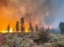 The Bootleg Fire burns near Bly, Oregon, amid record temperatures and drought (Picture: USDA Forest Service via Getty Images)