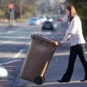 Brown bin collections will be charged at £35 this year