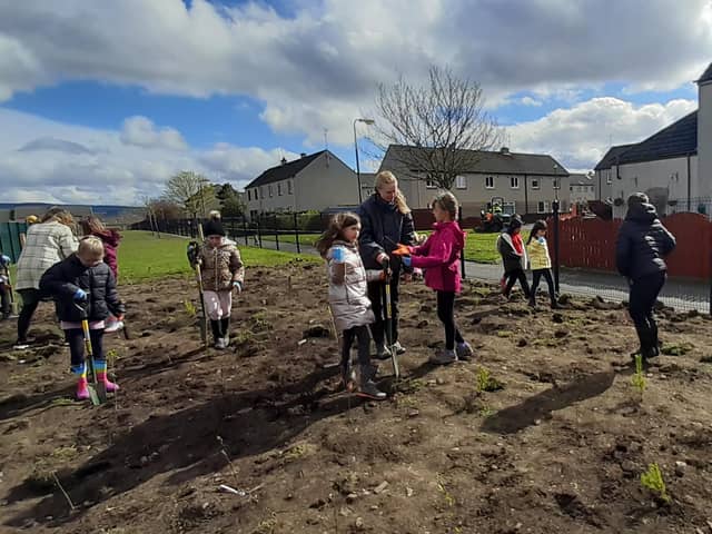 Pupils taking part in the Wee Forest tree planting at Bonnyrigg Primary.