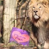 Edinburgh Zoo's Valentine events will run on selected days between February 11-15. Picture: RZSS