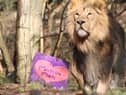 Edinburgh Zoo's Valentine events will run on selected days between February 11-15. Picture: RZSS