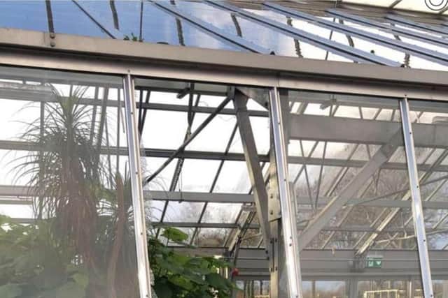 Greenhouse in Saughton Park's Winter Garden has been smashed picture: Thomas Mccourt