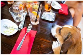 Take a look through our photo gallery to see what The Good Food Guide reckons to be the most dog friendly restaurants in Edinburgh.