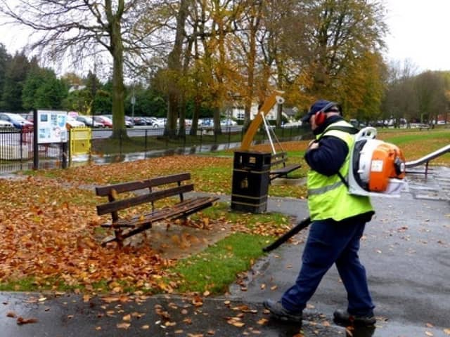 Fuel powered leaf blowers damage health and environment