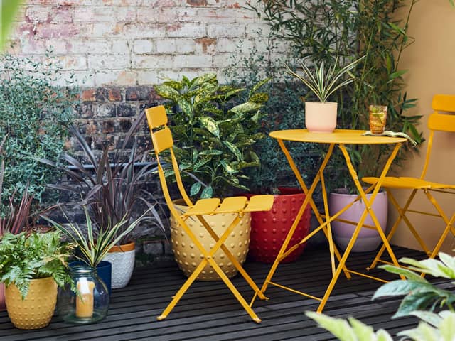 Dobbies, the UK’s leading garden centre retailer, has announced two virtual Expert Events to help Edinburgh gardeners elevate their green spaces this summer, no matter the size or style of their garden.