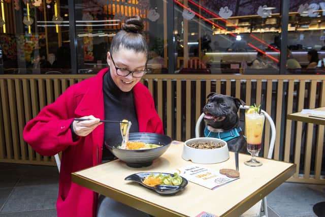 Royston the seven-year-old Staffordshire bull terrier tries the dog menu whilst sitting with Jai Savage-Morton at Maki and Ramen in St James Quarter.
Pic: SWNS