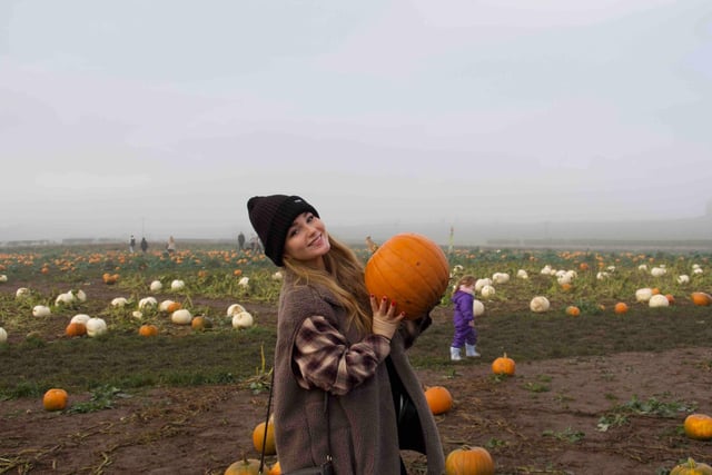 Our reporter Annabelle visited Edinburgh's local pumpkin patch in North Berwick where you can pick your own pumpkins.