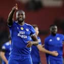 Sol Bamba has been with Cardiff City since 2016. Picture: Getty