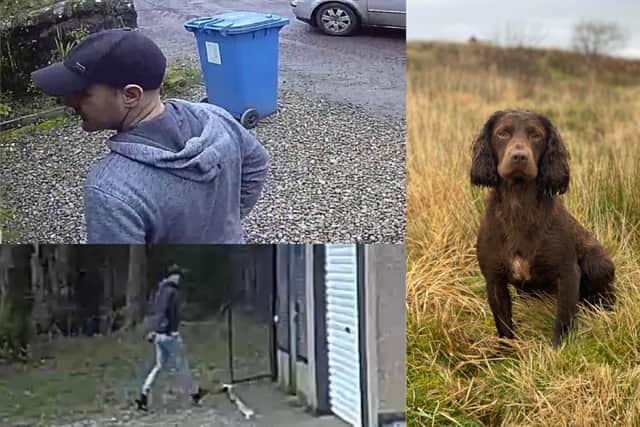 The suspected thieves caught on CCTV outside Mr Whigham's house in West Lothian and a picture of Obie, who has been reported stolen picture: supplied