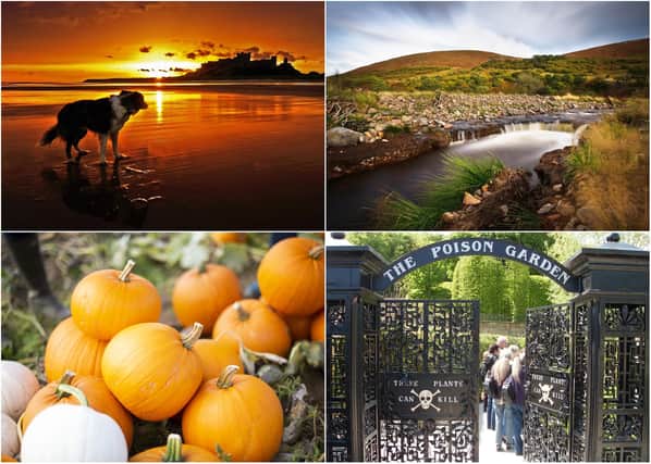 Visit Northumberland's autumn highlights.