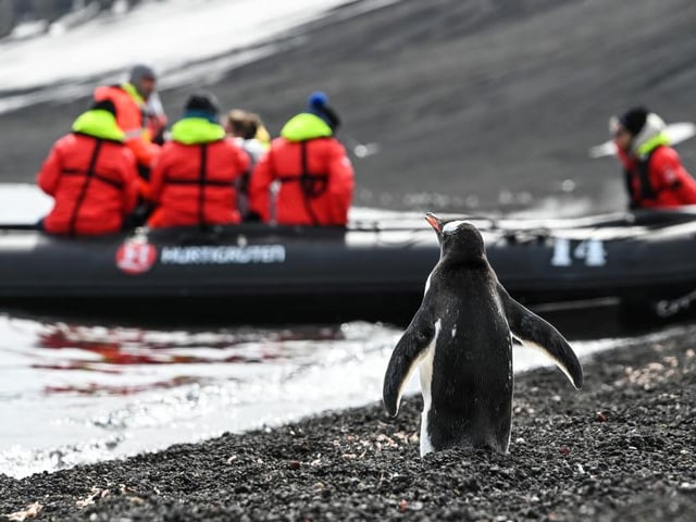 A penguin looks hopeful to join a group of people to travel on an adventure, taken by Gunther Gravogl in Antarctica