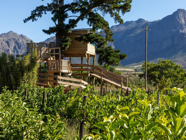 The Love Island villa this year comes with a unique addition - what appears to be a tree house