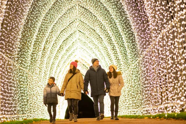 The Royal Botanic Garden in Edinburgh  is expected to attract record numbers of visitors this Christmas. Photograph:  Phil Wilkinson