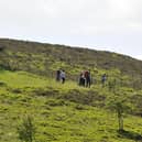 The council is being asked to prepare the case for the Pentlands to become a national park. Picture: Michael Gillen.