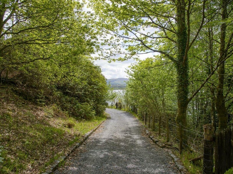 Driveway.