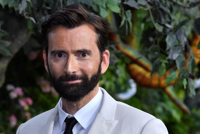 David Tennant at the premiere of the first series of Good Omens in London in 2019.