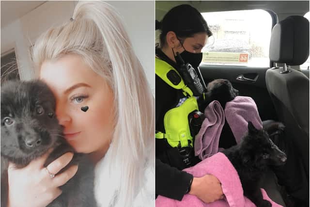 The stolen puppies have been found safe and well. Pic: Police Scotland