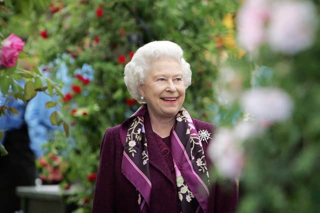 Queen Elizabeth II braves blustery conditions at the annual Chelsea Flower show in London (Photo by IAN JONES/POOL/AFP via Getty Images)