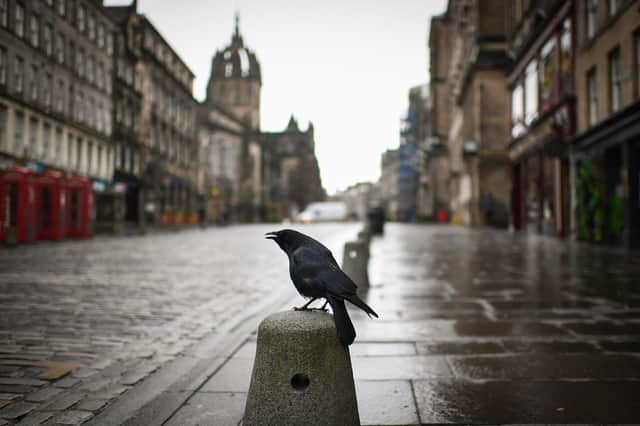 Edinburgh's streets were quiet ahead of the return to a new lockdown similar to the one imposed in March (Picture: Jeff J Mitchell/Getty Images)
