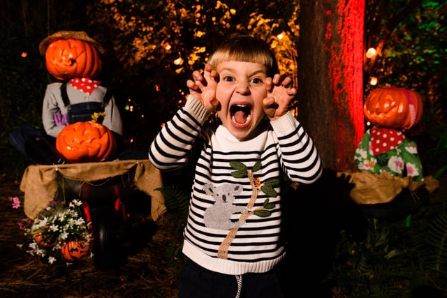 The Royal Zoological Society of Scotland's first family friendly Halloween trail at Edinburgh Zoo in 2021.This little one certainly got into the Halloween spirit!