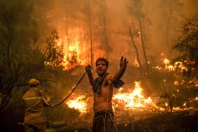 A local resident trying to help fight a forest fire on the Greek island of Evia gestures after the hose runs dry (Picture: Angelos Tzortzinis/AFP via Getty Images)