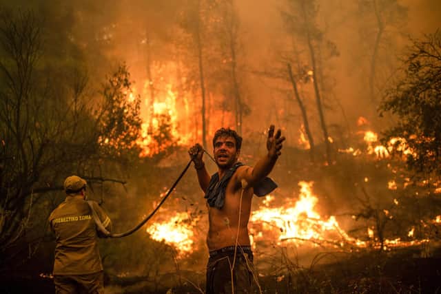A local resident trying to help fight a forest fire on the Greek island of Evia gestures after the hose runs dry (Picture: Angelos Tzortzinis/AFP via Getty Images)