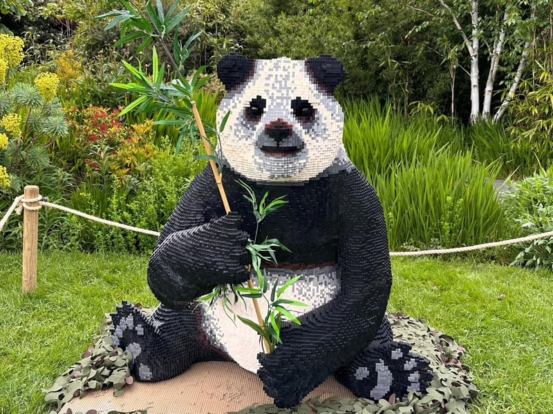 Hundreds were sad to see adorable Pandas Yang Guang and Tian Tian leave the zoo last year after a 13-year stay. But one panda, albeit a Lego one, can be seen at the zoo until July 31. Built from 62,531 bricks, this sculpture took five builders 206 hours to make