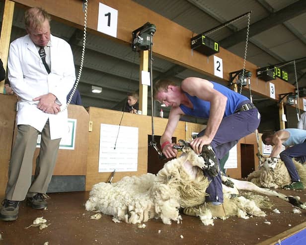 Agricultural galas, including the Royal Highland Show at Ingliston, are back in force this year -- some for the first time since the outbreak of Covid-19 -- so we should do our best to support them, according to Scottish rural minister Mairi Gougeon. Picture: David Moir