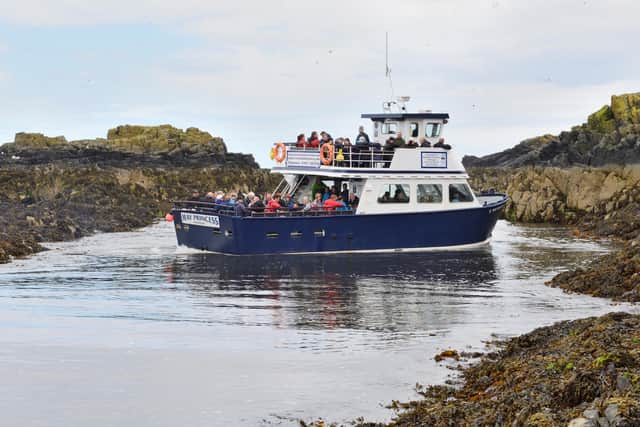 The May Princess tour boat at the Isle of May National Nature Reserve (Pic: Lorne Gill/SNH)