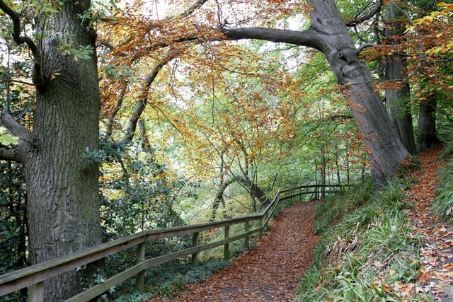 The walkway following the RIver Almond from Cramond Brig to Cramond village takes in a variety of woodland, including beech, oak and sycamore. Taking around two hours to complete, the walk is well-known for its stunning autumnal colours.