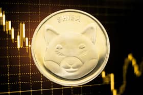 Shiba Inu coin price drops again in cryptocurrency crash - what Shiba Inu coin is and why it's down today (Image credit: Canva Pro)