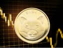 Shiba Inu coin price drops again in cryptocurrency crash - what Shiba Inu coin is and why it's down today (Image credit: Canva Pro)