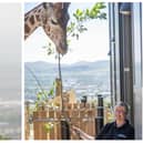 For World Giraffe Day (June 21), Anna Patterson, who usually works in Glenmorangie’s still house, spent time at Edinburgh Zoo assisting the giraffes’ keepers.