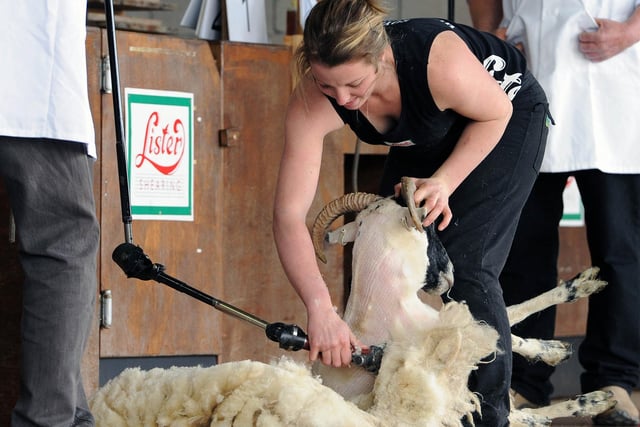 Lizzie Cobblestone in action at the junior sheep shearing competition semi-final at the 2012 Royal Highland Show.