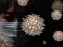 All viruses naturally mutate as they spread through a population (Shutterstock)