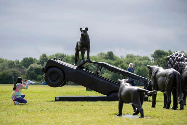 International wildlife charity Born Free is bringing an exhibition of 25 life-sized bronze lions to The Meadows, Edinburgh