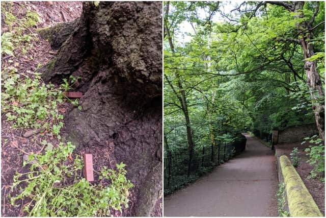Chocolate has been spotted on Water of Leith between Stockbridge and Dean Village picture: supplied