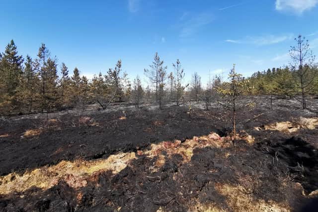 An area of land near Fauldhouse has been devastated by wildfire. Picture: Les Mason/Twitter