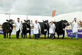 This year's Royal Highland show saw more than 280 trophies awarded to the over 5,000 cattle, sheep, horses, and goats competing at Ingliston.