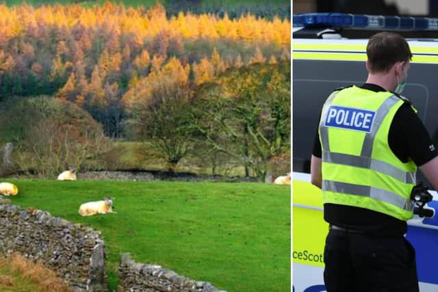 East Lothian crime news: Police issue warning after receiving reports of sheep worrying. Stock image.